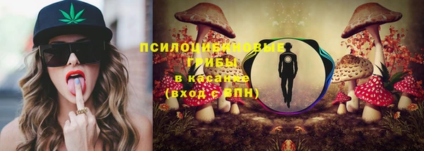 скорость Алексин
