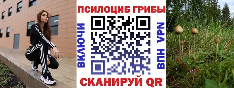 omg зеркало  Покров  Галлюциногенные грибы мухоморы 